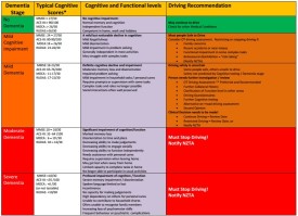 Summary dementia and driving recommendations